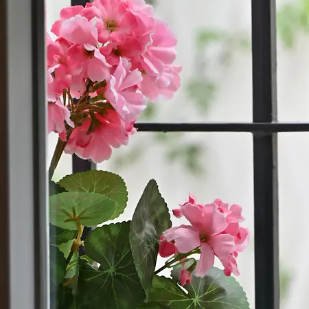 Villa Wonderstays Lucia *